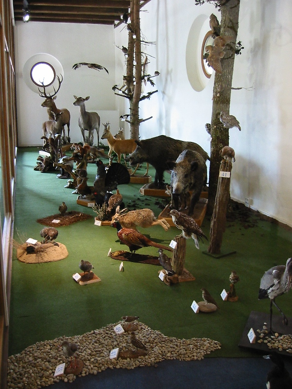 Erlebnisburg Pappenheim Natur- und Jagdmuseum