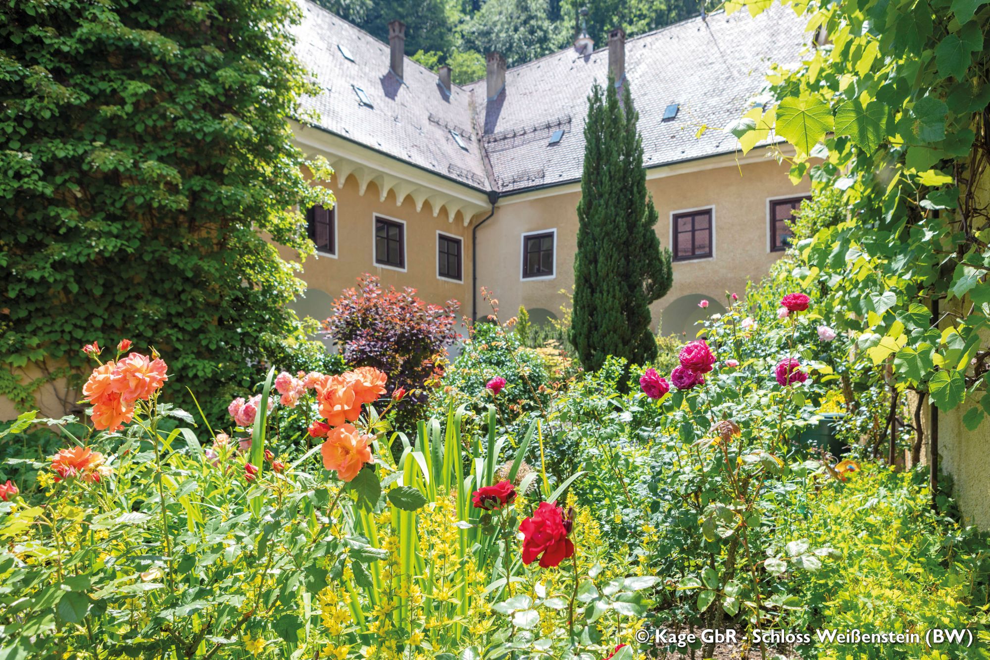 Schloss Weißenstein, Schlossgarten (c) Kage GbR - Schloss
