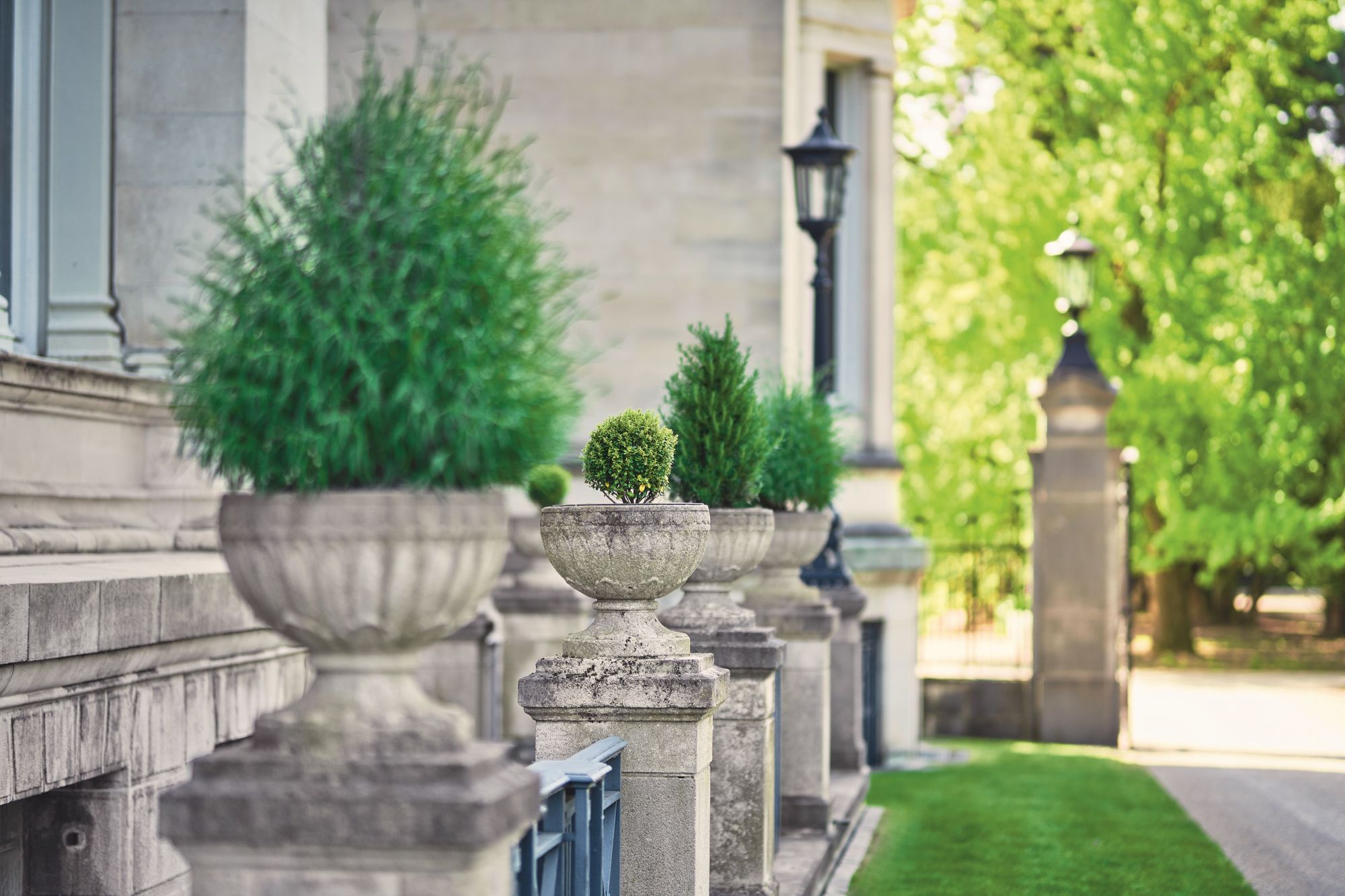 Hügel-Park, Terrassenbereich mit Pflanzkübeln (c) Krupp-Stiftung, Foto Peter Gwiazda