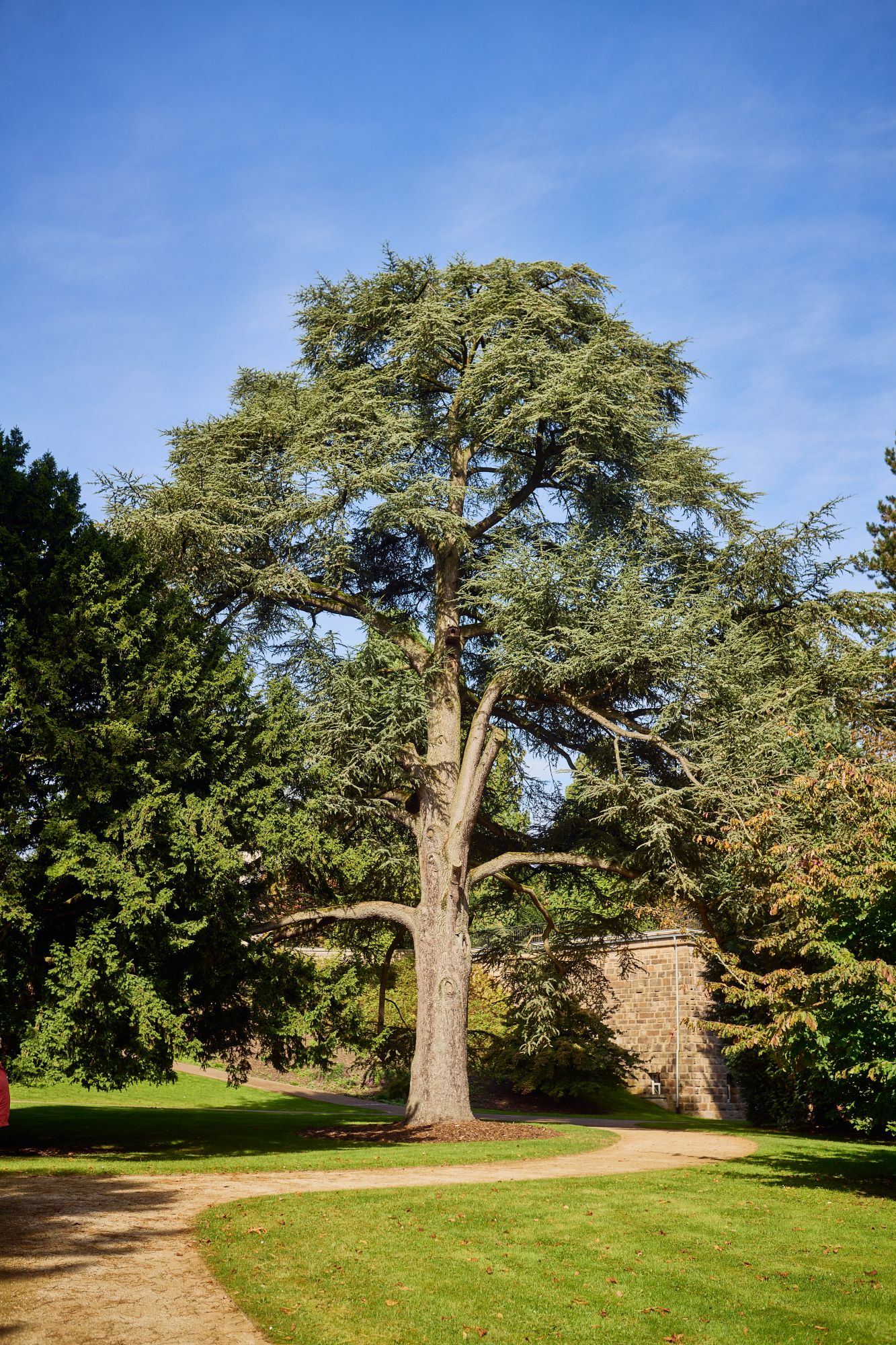 Hügel-Park, Baumbestand (c) Krupp-Stiftung, Foto Peter Gwiazda
