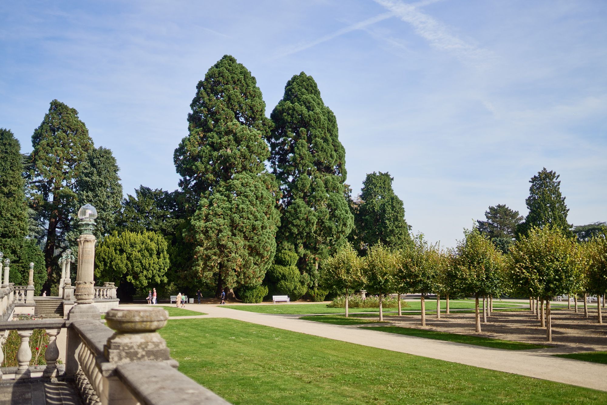 Hügel-Park, Terrassenbereich (c) Krupp-Stiftung, Foto Peter Gwiazda
